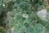 Green Fluorite Crystal Cluster - Fluorescent! #128810-2